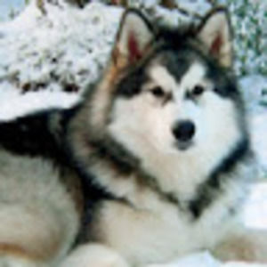 Meet your Posher, Meredith